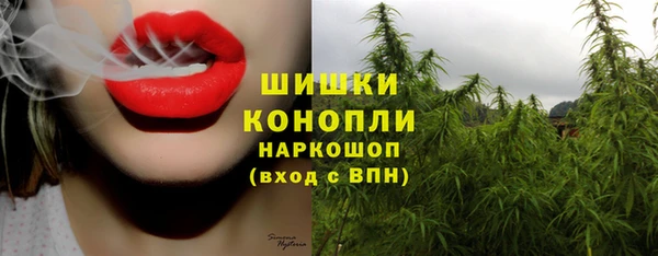 альфа пвп Краснослободск