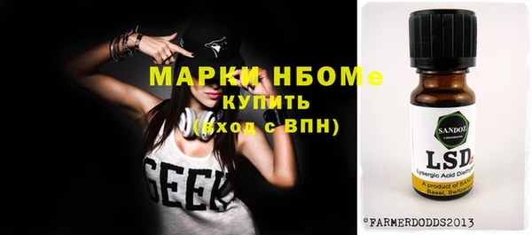 крисы Кулебаки
